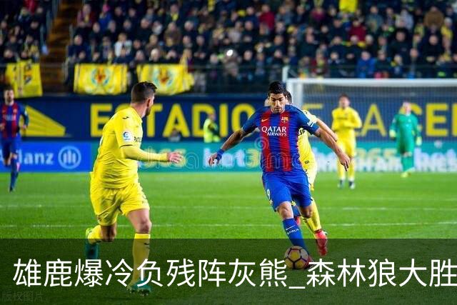 雄鹿爆冷负残阵灰熊 森林狼大胜开拓者4连胜